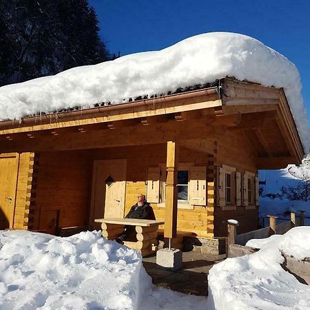 Chalet Sonnheim Lofer Extérieur photo